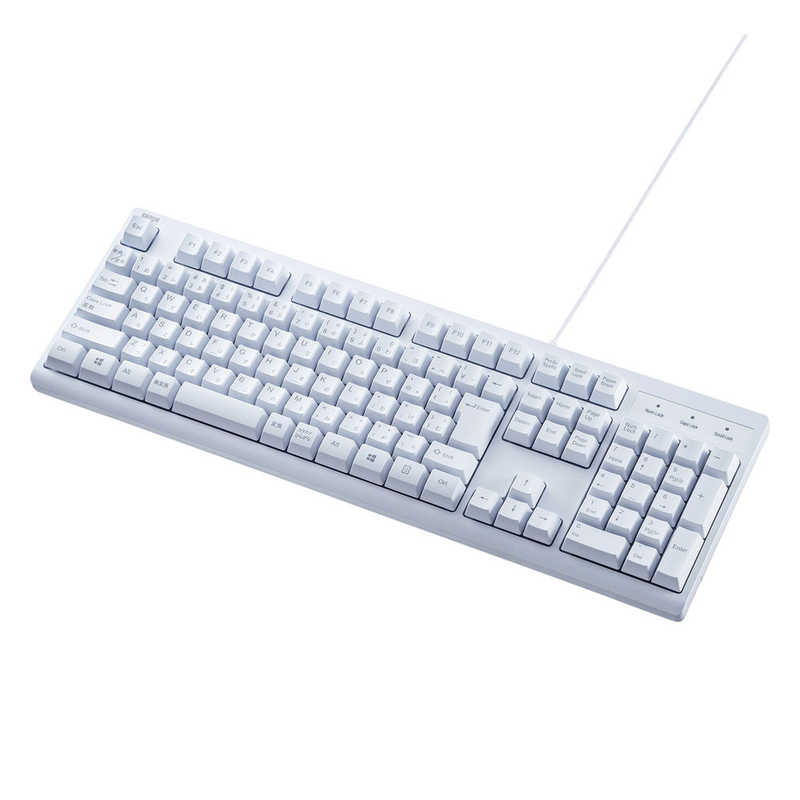 サンワサプライ SANWA SUPPLY 日本語109キーボード ホワイト SKB-109UW