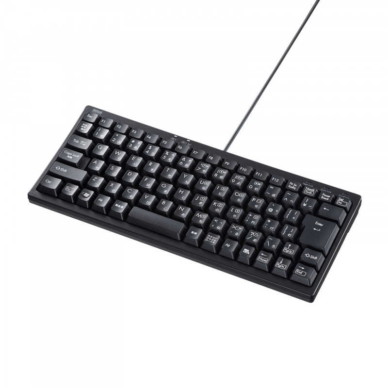 サンワサプライ?SANWA?SUPPLY?USBハブ付コンパクトキーボード(テンキーなし) SKB-KG3UH3BK