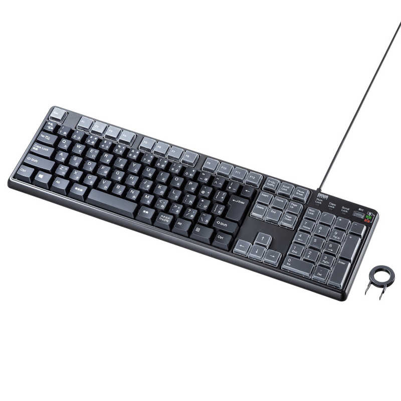 サンワサプライ SANWA SUPPLY キーボード プログラマブル(Windows11対応) ［有線 /USB］ SKB-P1BK
