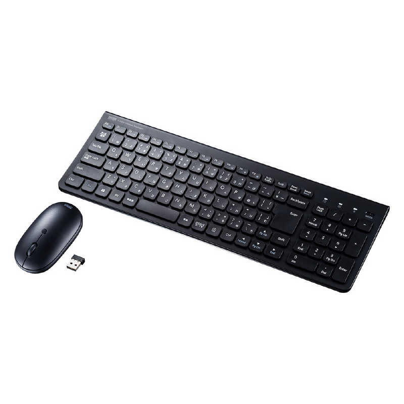 サンワサプライ SANWA SUPPLY マウス付きワイヤレスキーボード ブラック SKB-WL31SETBK