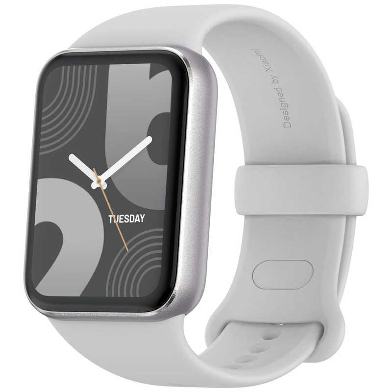 シャオミ Xiaomi Smart Band 9 Pro Moonlight Silver BHR8715GL