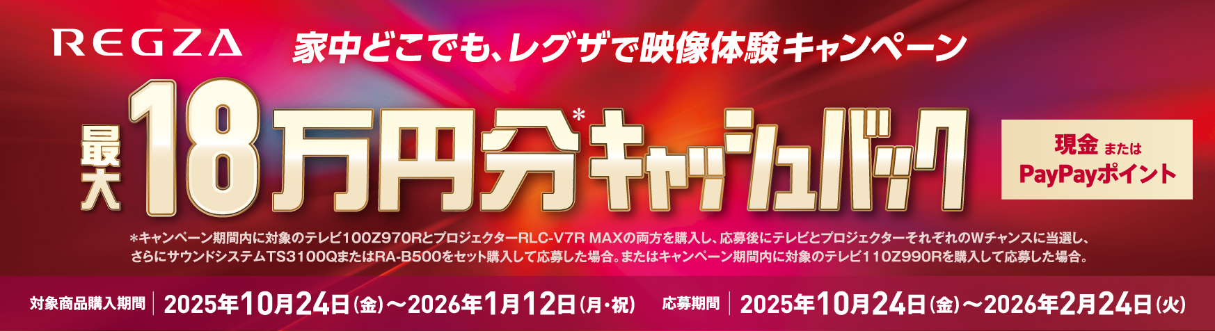レグザ REGZA  2.0ch レグザサウンドシステム RA-B100